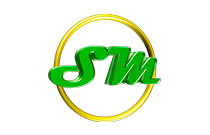 Logo SmartinsTec